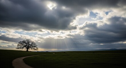 Dramatic landscape with lone tree under cloudy sky and sun rays, ideal for nature posters and print designs
