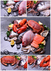 The freshest seafood for every taste