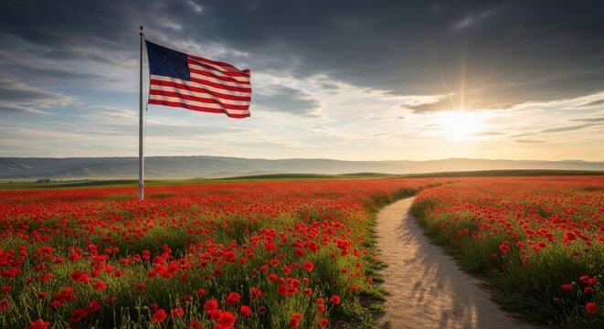 Remembrance day tribute with american flag and poppy field at sunset - Powered by Adobe