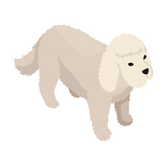 Farm animal isometric. Domestic animal in 3d flat back and front view. Cute game character of dog. Vector icon