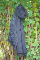 One black fabric jacket with a hood hangs on a branch of a bush with green leaves on a summer street