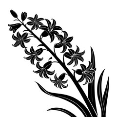 Charming Hyacinth Flower Silhouette-Botanical Illustration in Black and White-Detailed Floral Drawing-Grayscale Floral Art for Elegant Designs-Ornamental Blossom Art.