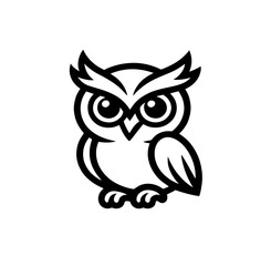 owl isolated on white background
