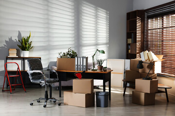Many moving boxes, houseplants and furniture in new office