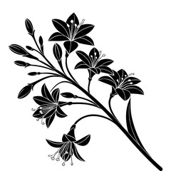 Floral Silhouette Branch Design Elegant. Blooms Artistic Composition Decorative Floral Art Design. Stamen Detailed Blossom Drawing, Detailed Silhouette Botanical Theme.
