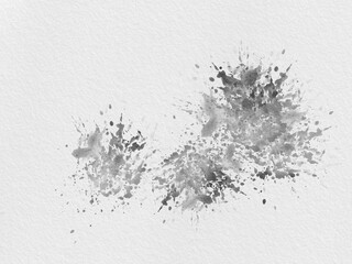 Fototapeta premium Abstract Black Splatter Watercolor Texture Paint on White Paper