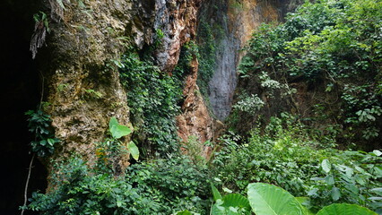 Coral Stone Texture Background