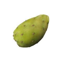 A green prickly pear cactus fruit on a neutral background