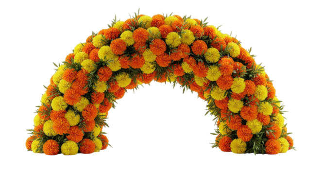 Yellow and Orange Marigold Flower Arch or Garland Isolated PNG Cutout Transparent