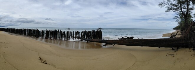 A sandy beach eroded by seawater and supported by wooden posts to protect it from the waves.