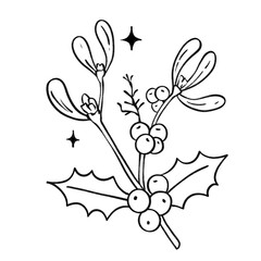 Mistletoe and holly sprig with berries outline illustration, festive botanical element in black and white cartoon style
