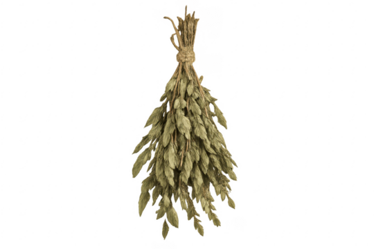 Dried herbs hanging bunch bundle transparent background