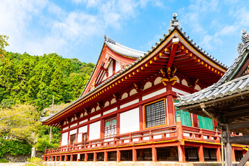 【奈良県】大和郡山市 矢田寺 (2025/10/14 撮影)