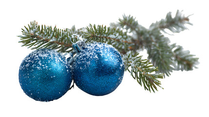 A realistic close-up of a green fir branch heavily flocked with artificial snow, featuring two large, glistening blue ornaments. Cold winter aesthetic, high contrast, isolated on white background.