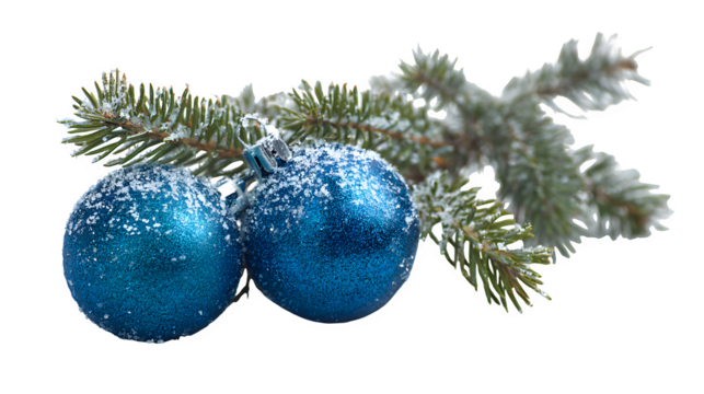 A realistic close-up of a green fir branch heavily flocked with artificial snow, featuring two large, glistening blue ornaments. Cold winter aesthetic, high contrast, isolated on white background. - Powered by Adobe