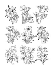 Collection of floral line art illustrations. Hand-drawn botanical flowers vector set isolated on white.