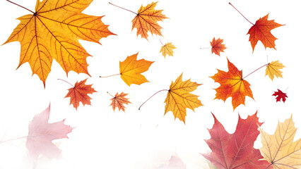 Fototapeta premium Vibrant autumn maple leaves gracefully falling, painting the season with warm hues of red, orange, and yellow