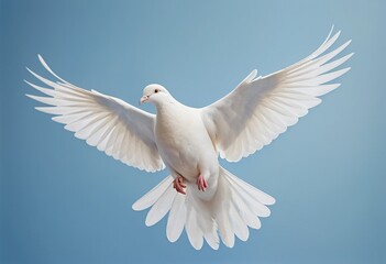 Fototapeta premium White dove in graceful flight with wings spread wide against a clear blue sky, symbolizing peace and freedom