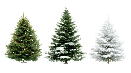 Obraz premium A set three christmas tree on empty tree second decorated tree and third snow tree isolated on white backhground