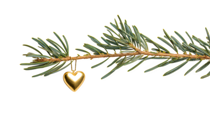 A single fir branch, perfectly isolated, with a stylized golden heart ornament hanging from it. Minimalist and symbolic, clean studio shot, isolated on white background.