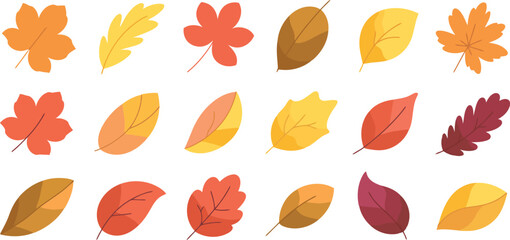 Fototapeta premium Collection of colorful autumn leaves in various shapes and sizes