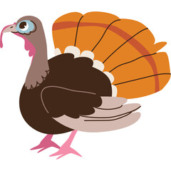 Cartoon Turkey With Orange Tail Feathers And Plaid Pattern Isolated On Transparent Background