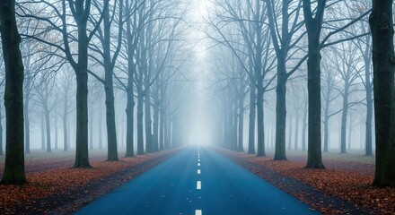 Straight empty road disappearing into the fog on a moody autumn day. Avenue of bare trees creating a symmetrical perspective