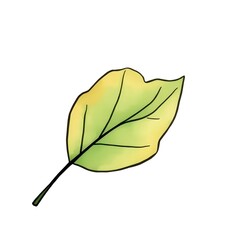 fall leaf isolated on white watercolor illustration