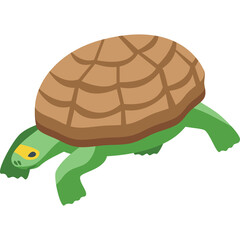 A stylized green turtle with a brown shell walks on a transparent background in a simple isometric illustration