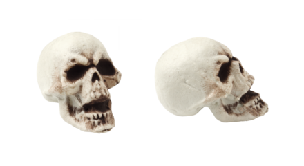 Set of decorative skulls for the Halloween decoration isolated on white or transparent background