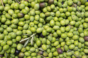 Fresh green olives with leaves filling the frame, natural pattern and overhead composition; for food design, retail signage, agriculture content, education.