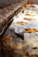 Paper Boat in a Puddle by a Curb with Autumn Leaves