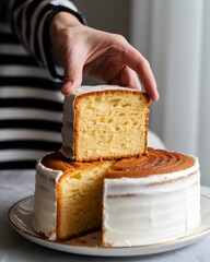 Serving Slice of Indonesian Layered Spekkoek or Lapis Legit Cake with Textured Layers, a piece of cake