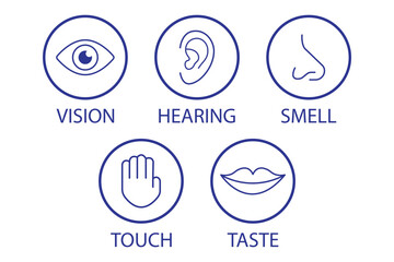 Human senses icon set. Vision eye, smell nose, hearing ear, touch hand, taste mouth with tongue. Simple line icons and black circle. Five senses of human nervous system. eps 10