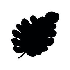 Black silhouette of a stylized oak leaf on a white background.
