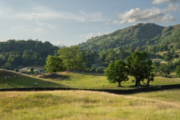 Lake District landscape at sunset near Skelwith Fold, Cumbria, England