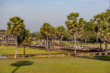 Obraz premium Angkor wat causeway with palm trees, tourists and a monk under soft morning light in siem reap, cambodia