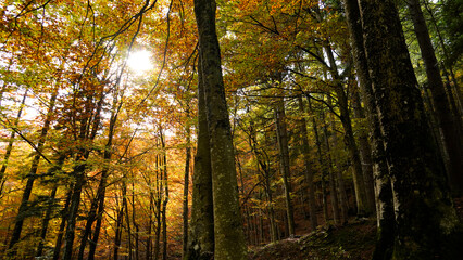 Autunno sull'Appennino emiliano. Panorami autunnali delle montagne bolognesi. Corno alle Sc ale. Bologna, Emilia-Romagna, Italia.