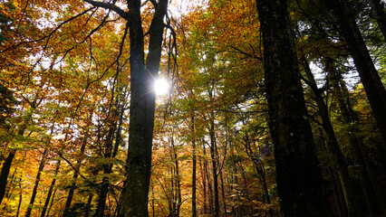 Obraz premium Autunno sull'Appennino emiliano. Panorami autunnali delle montagne bolognesi. Corno alle Sc ale. Bologna, Emilia-Romagna, Italia.
