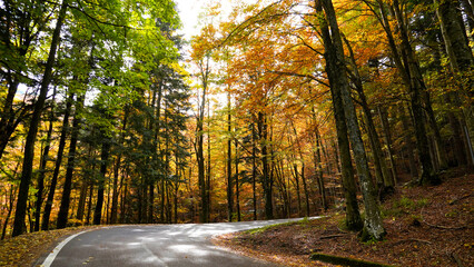 Autunno sull'Appennino emiliano. Panorami autunnali delle montagne bolognesi. Bologna, Emilia Romagna. Italia