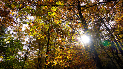 Autunno sull'Appennino emiliano. Panorami autunnali delle montagne bolognesi. Bologna, Emilia Romagna. Italia