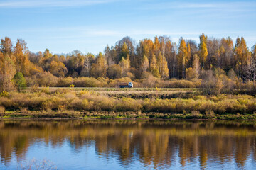 Cargo Truck Driving on Highway Through Golden Autumn Forest along Daugava River