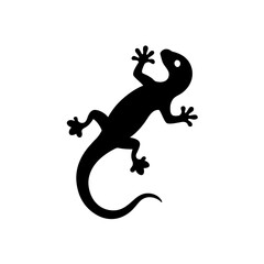 Obraz premium Silhouette of a lizard on transparent background