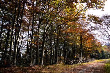 Autunno sull'Appennino emiliano. Panorami autunnali delle montagne bolognesi. Corno alle Sc ale. Bologna, Emilia-Romagna, Italia.