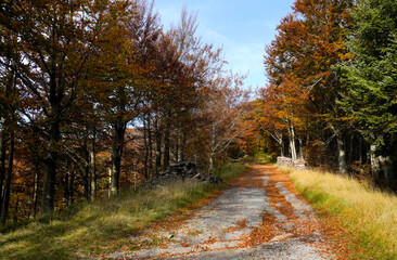 Autunno sull'Appennino emiliano. Panorami autunnali delle montagne bolognesi. Corno alle Sc ale. Bologna, Emilia-Romagna, Italia.