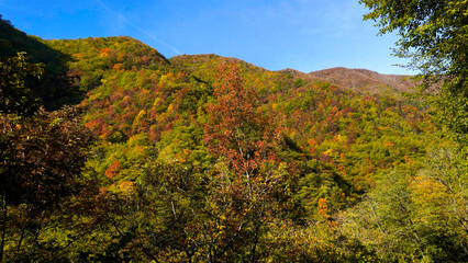 Autunno sull'Appennino emiliano. Panorami autunnali delle montagne bolognesi. Corno alle Sc ale. Bologna, Emilia-Romagna, Italia.