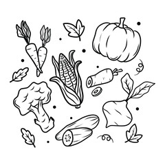 Hand Drawn Vegetables Line Art Illustration