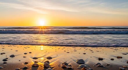 Golden sunset over the ocean with waves gently washing ashore, illuminating the wet sand scattered with seashells and pebbles.