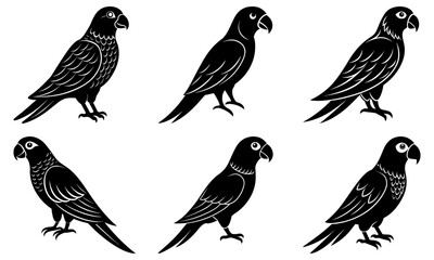 Obraz premium Elegant parrot silhouettes, perfect for branding, wildlife conservation awareness, and exotic pet-related designs, adding a touch of nature and sophistication