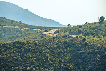 A scenic route with sweeping curves that skirts cliffs where sturdy pines grow anchored to the vertical rocky slopes